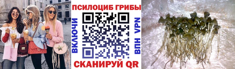 Галлюциногенные грибы ЛСД  Борисоглебск 