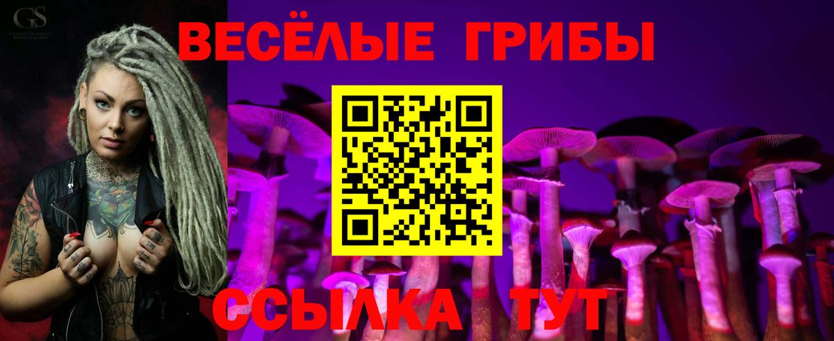 купить   Псилоцибиновые грибы мухоморы  Псилоцибиновые грибы MAGIC MUSHROOMS  Вход с VPN  Борисоглебск 