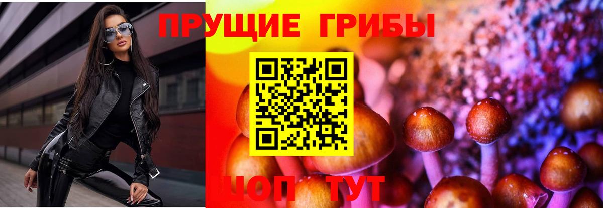 Псилоцибиновые грибы Cubensis  Псилоцибиновые грибы мицелий  Борисоглебск 